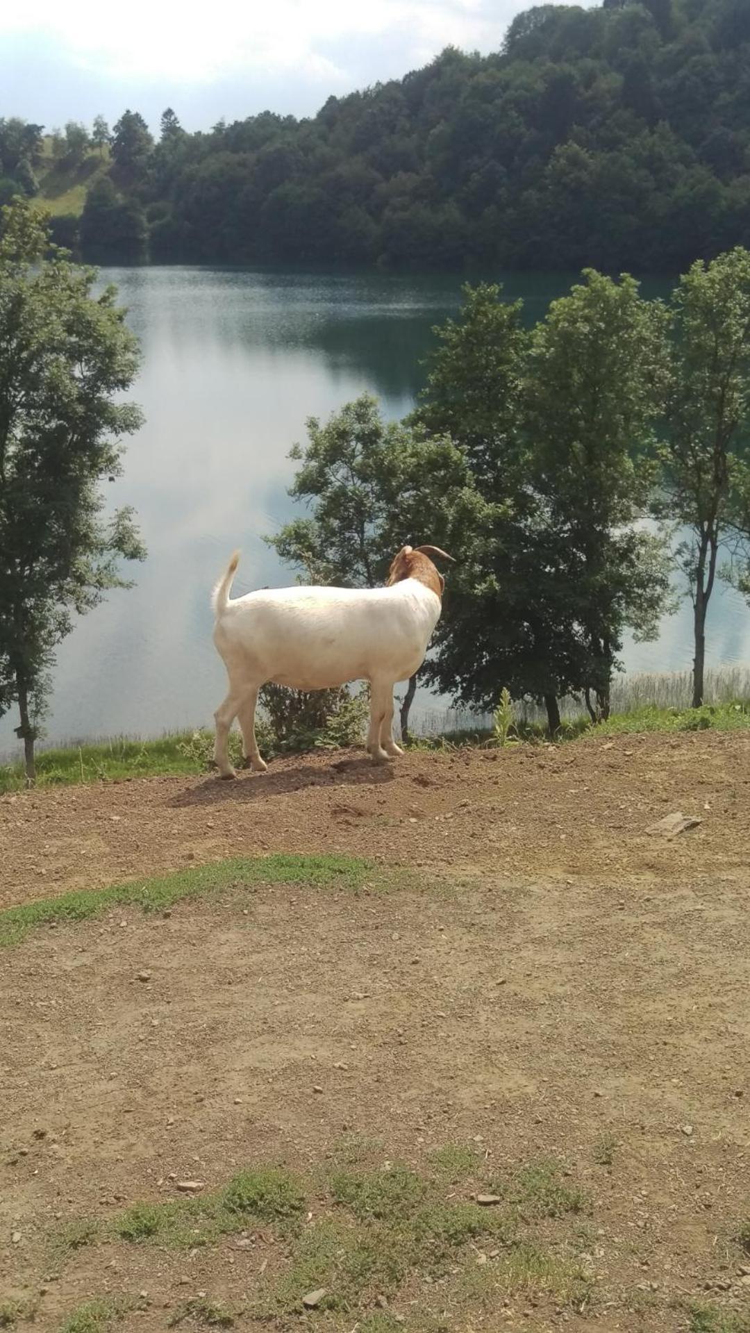 Familiehuis Dolve Mürlenbach Esterno foto